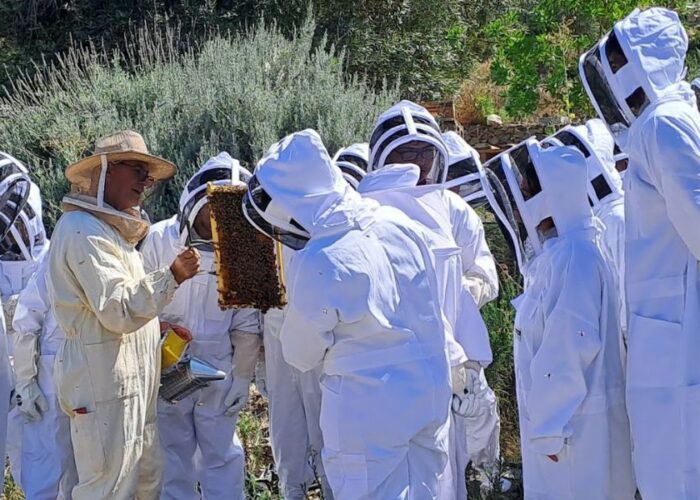 μελισσοχώρια της κύπρου