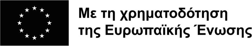 Co-funded by the European Union