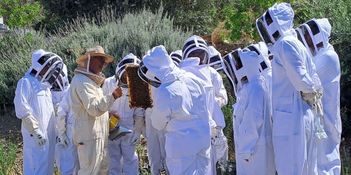 A sweet getaway to the “Honey Villages of the Larnaca Highlands”: the kingdom of bees and honey