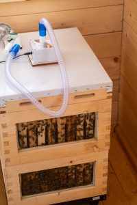 air hive therapy