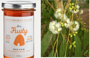 μέλι Ευκάλυπτος Καμαλντόλι red gum